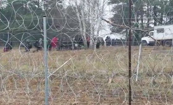 Zwrot akcji na granicy. Łukaszenka podstawił pierwsze autobusy, wywozi imigrantów