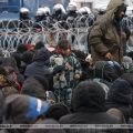 migranci
