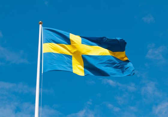 Szwecja zgłosiła gotowość do wysłania na Ukrainę swoich wojskowych
