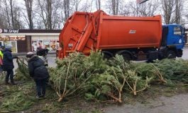 W Odessie sprzedawcy zniszczyli tysiące niesprzedanych choinek
