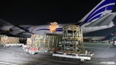 Na Ukrainę przyleciał trzeci transport broni z USA. 80 ton Javelinów (ZDJĘCIA)