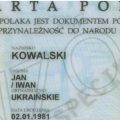 Karta Polaka - wzór. Fot: gov.pl/web/dyplomacja