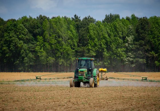 Ukraina dysponuje zapasami żywności na dwa lata