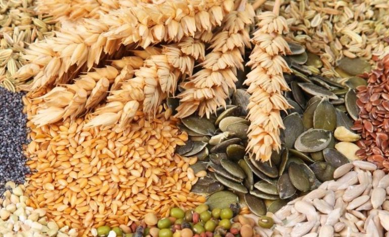 Rada Ministrów Ukrainy: Pierwszoplanowym zadaniem jest przeprowadzenie kampanii siewnej w rejonach nie objętych rosyjską inwazją