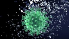 MSW Ukrainy: Rosyjskie kłamstwa o laboratoriach z bronią biologiczną na Ukrainie mogą świadczyć o przygotowywaniu przez Rosję ataku chemicznego