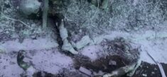 Samoloty bombardujące ukraińskie miasta przylatują z Białorusi (18+)
