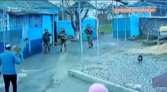 To jest HIT Internetu: Gdy okupant wchodzi na Twoje podwórko. Zobacz WIDEO To jest HIT Internetu: Gdy okupant wchodzi na Twoje podwórko. Zobacz WIDEO