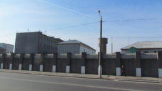 Z ukraińskich więzień zwolniono 363 osoby, które wyraziły chęć obrony Ukrainy przed rosyjskimi najeźdźcami
