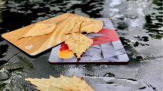 Ryzyko zbyt duże. Rosyjskie banki nie udzielają kredytów mężczyznom w wieku poborowym