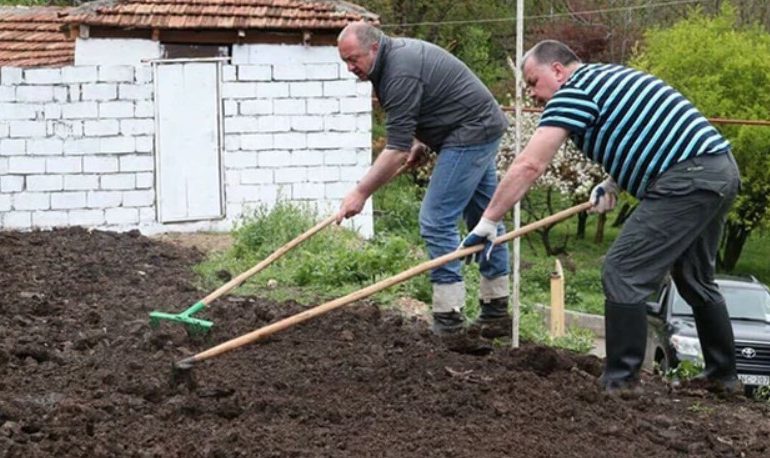 Posadzą kartofle i przeżyją. Rosyjska montownia BMW rozdaje działki pracownikom “ze względu na trudną sytuację ekonomiczną”