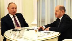 Skandal: Scholz już planuje spotkanie z Putinem