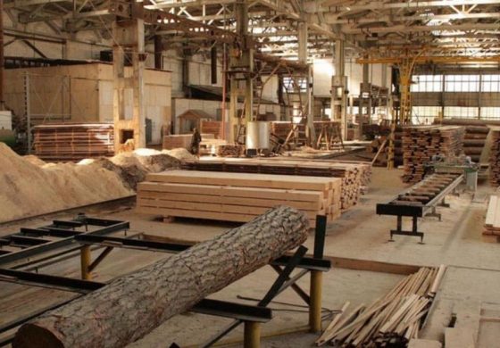 Litewski potentat produkcji drzewnej VMG Group wycofał się z Białorusi. Tysiące pracowników poszło na bruk