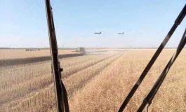 Ukraińscy rolnicy podpalają pola na tymczasowo okupowanych terytoriach, aby plony nie dostały się w ręce Rosjan