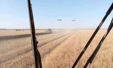 Ukraińscy rolnicy podpalają pola na tymczasowo okupowanych terytoriach, aby plony nie dostały się w ręce Rosjan