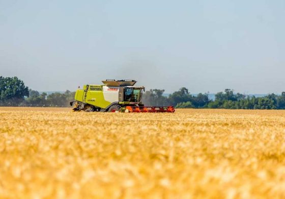 Żniwa na Ukrainie A.D. 2022. Rosyjskie czołgi strzelają do kombajnów pracujących w polu
