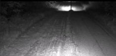 Niespokojnie na polsko-białoruskiej granicy