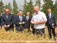 “Nadchodzi głód niewidziany od czasów wojny”. Łukaszenka uzna straty zboża za sabotaż i przestępstwo