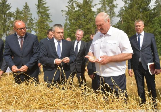 "Nadchodzi głód niewidziany od czasów wojny". Łukaszenka uzna straty zboża za sabotaż i przestępstwo