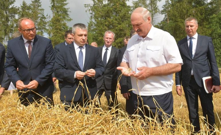 “Nadchodzi głód niewidziany od czasów wojny”. Łukaszenka uzna straty zboża za sabotaż i przestępstwo