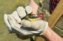 Dobre wieści z frontu. ISW: Ukraina przejmuje inicjatywę strategiczną