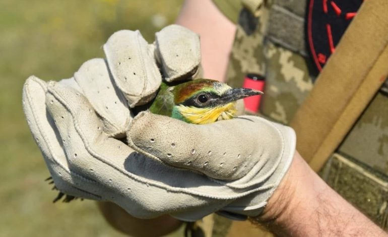 Dobre wieści z frontu. ISW: Ukraina przejmuje inicjatywę strategiczną