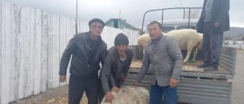 Barany dla rodzin zmobilizowanych w Tule/ Fot: Domena publiczna