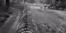 Jak białoruskie służby pomagają migrantom sforsować ogrodzenie na granicy (WIDEO)