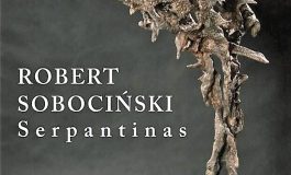 „Serpentyna” – wystawa rzeźb Roberta Sobocińskiego w Wilnie