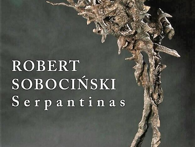 „Serpentyna” – wystawa rzeźb Roberta Sobocińskiego w Wilnie