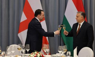Premier Gruzji wzoruje się na Orbanie