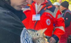 Dwie osoby pod gruzami budynku zniszczonego w porannych nalotach na Kijów