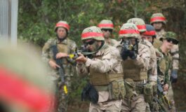 Australia wesprze Ukrainę dodatkowymi kilkudziesięcioma opancerzonymi wozami piechoty oraz instruktorami