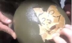 Zmobilizowani rosyjscy żołdacy dostają na front plastikowe hełmy (WIDEO)