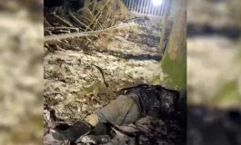 Kolejny migrant znaleziony martwy na granicy białorusko-polskiej. Mińsk oskarża Polskę