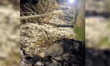 Kolejny migrant znaleziony martwy na granicy białorusko-polskiej. Mińsk oskarża Polskę
