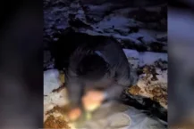 Przy granicy z Polską znaleziono martwą Syryjkę. Kolejna propagandowa historia reżimu białoruskiego przeciwko Polsce