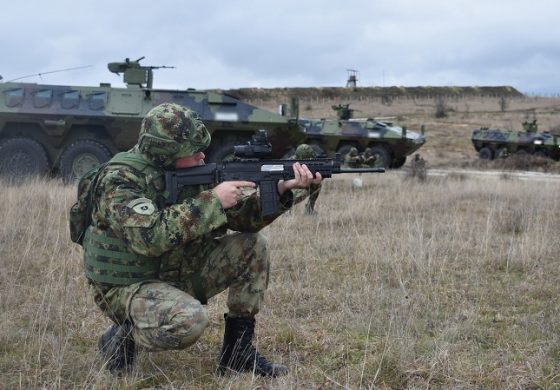 Armia i policja Serbii postawione w stan najwyższej gotowości bojowej