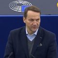Europoseł KO Radosław Sikorski
