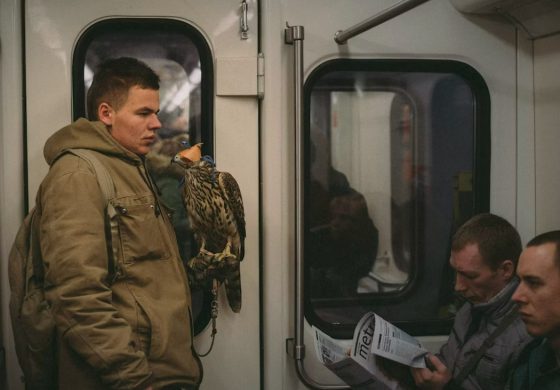 Liczby nie kłamią. W tym rankingu Polacy biją na głowę Niemców