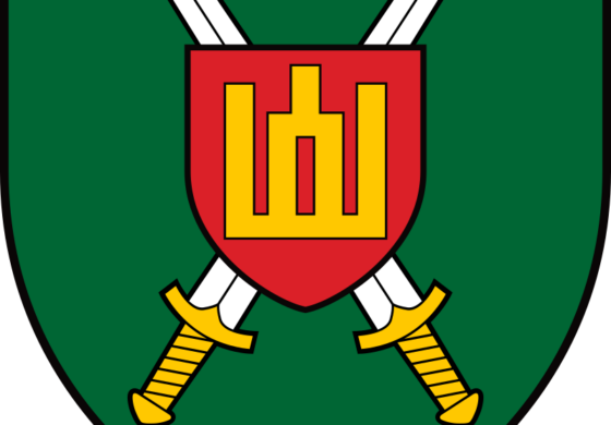 Litwa przygotowuje się do sformowania dywizji zmechanizowanej