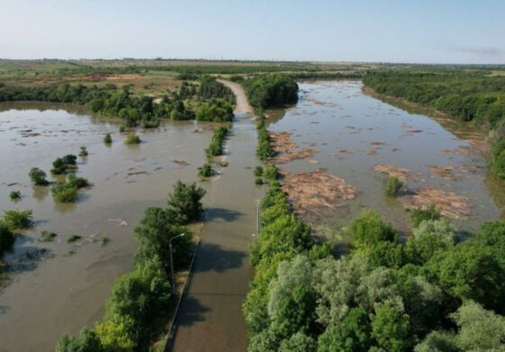 Katastrofa ekologiczna po zniszczeniu zapory na Dnieprze mocno uderzy w ukraińskie rolnictwo