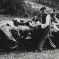Czerwiec 1944, Lubycza Królewska k/Be³¿ca, Polska. Zw³oki i ranne kobiety z Be³¿ca i Tomaszowa Lubelskiego zabrane z miejsca zbrodni. Fot. NN, zbiory Orodka KARTA (udostêpnił Kazimierz Czapiński)/Fot: zbrodniawolynska.pl