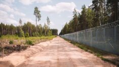 Łotwa wzorem Polski przyspiesza budowę ogrodzenia na granicy z Białorusią