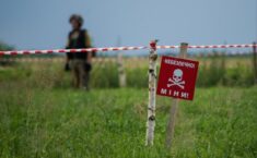 30 pól minowych na granicy z Białorusią: „Przyjaciół tam nie mamy”