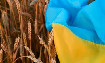 Ukraiński plan rozwiązania „kryzysu zbożowego” w realizacji