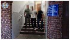 Dwaj Białorusini zatrzymani w Polsce za napady z bronią w ręku