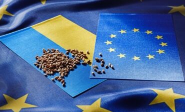 Ukraina i kraje Unii Europejskiej spotkają się w Brukseli, aby rozwiązać spór „zbożowy”