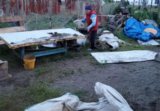 Ile wart jest dla Kremla mieszkaniec Kamczatki