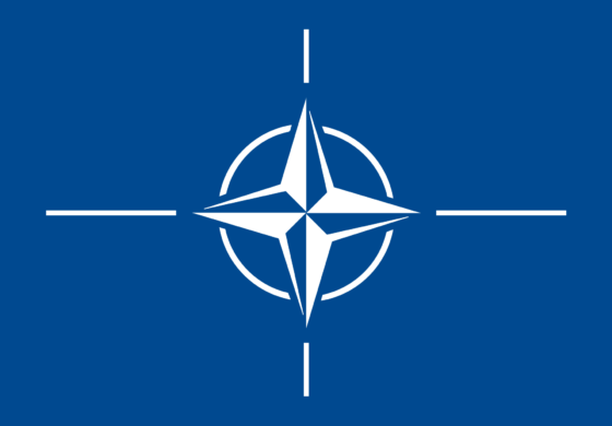 Priorytetem dla mieszkańców Ukrainy jest członkostwo w NATO
