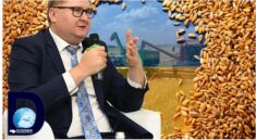 Do rozmów wrócimy po wyborach. Ukraina zawiesiła skargę do WTO przeciwko Polsce